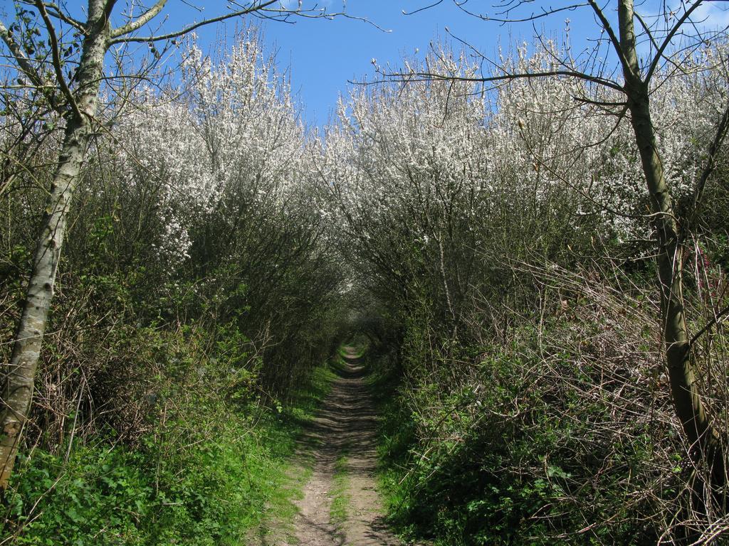 La Flore Marine Saint-Jouin-Bruneval Buitenkant foto