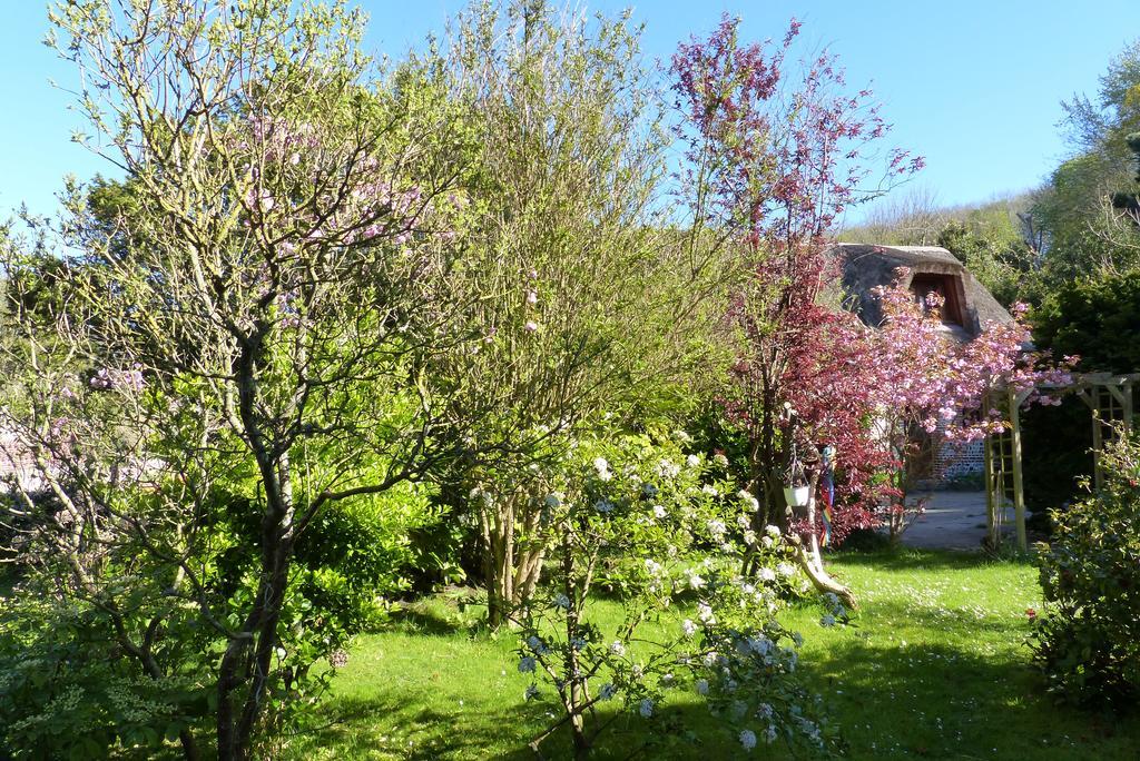 La Flore Marine Saint-Jouin-Bruneval Buitenkant foto